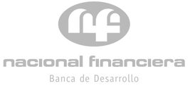 Nacional Financiera México